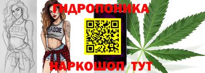 гашик Бузулук