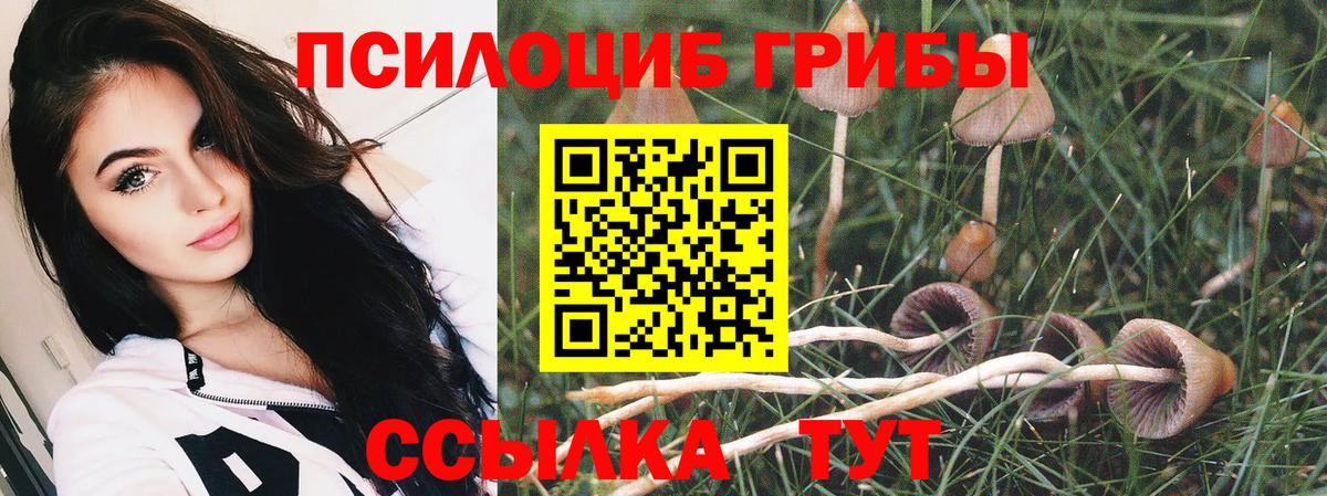 Мончегорск  Галлюциногенные грибы мицелий  Вход с VPN 