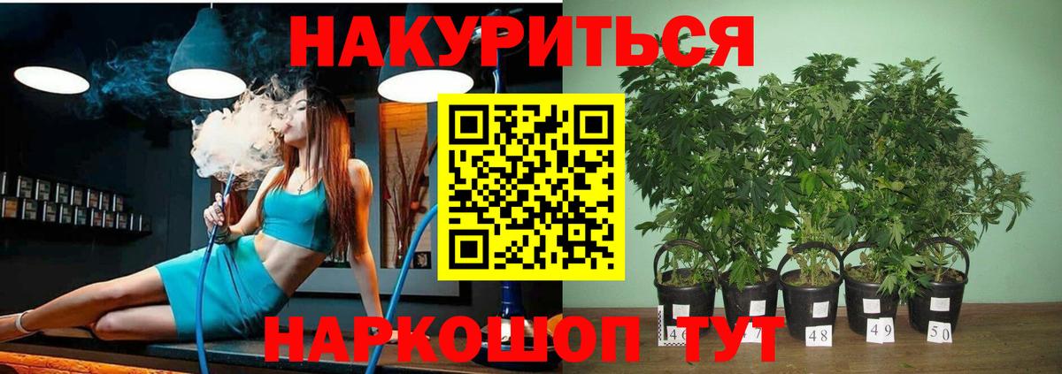 Шишки марихуана SATIVA & INDICA  Марихуана OG Kush  Мончегорск  Вход с VPN  МАРИХУАНА конопля 